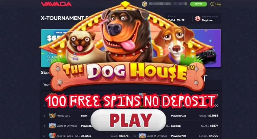 Zrzut ekranu z gry „The Dog House” w kasynie Vavada.