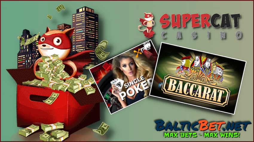 Игровые автоматы, крэш игры и коробка с наличными деньгами в казино SUPER CAT на фото.