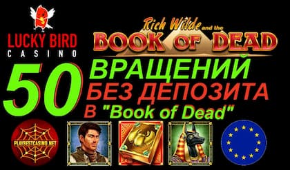 Новые казино без вейджера твой вулкан удачи казино