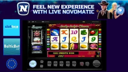 Live Novomatic в Slottica Игра Через Камеру! Бонус (50FS) виден на данном изображении.